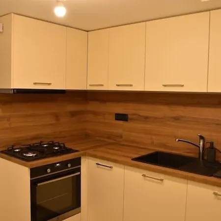 The Lodge, Separate In A Vila, With Floor Heating, Groundfloor Sinaia