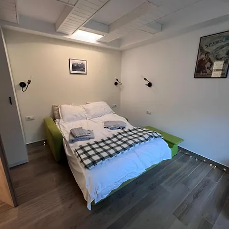 The Lodge, Separate In A Vila, With Floor Heating, Groundfloor * Sinaia