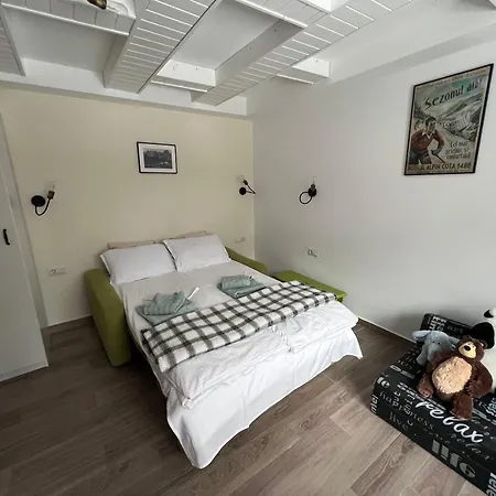 The Lodge, Separate In A Vila, With Floor Heating, Groundfloor * Sinaia